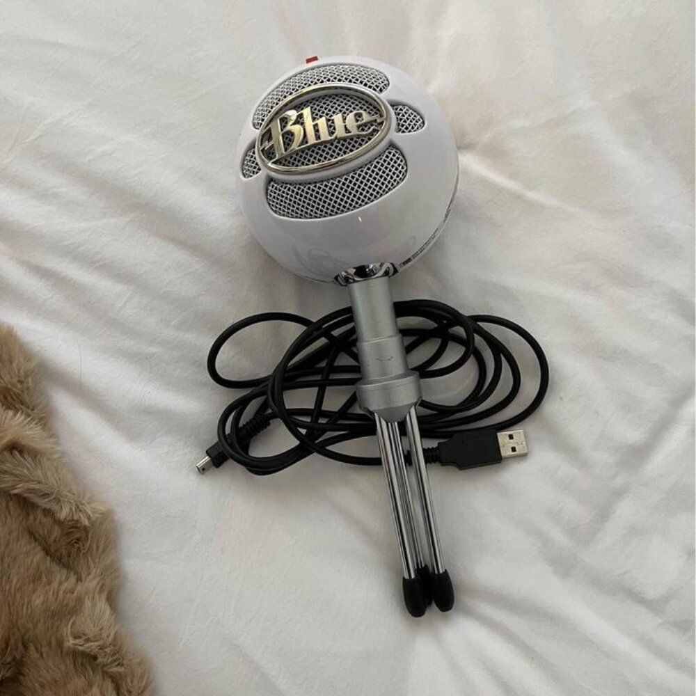 Microphone